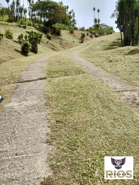 SE VENDE Finca en Alajuela, Sarapiquí.