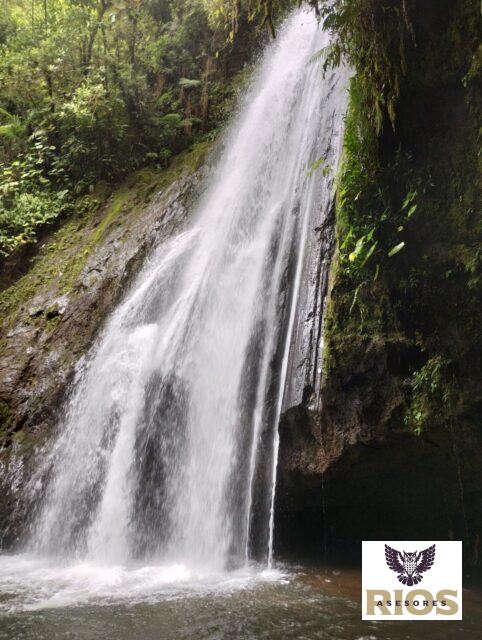 SE VENDE Finca en Alajuela, Sarapiquí.