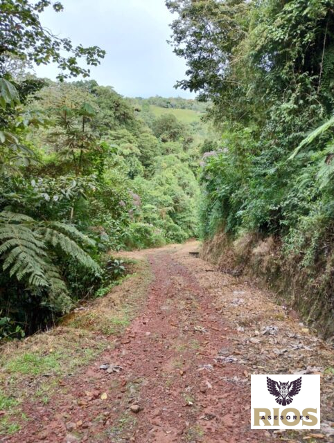 SE VENDE Finca en Alajuela, Sarapiquí.