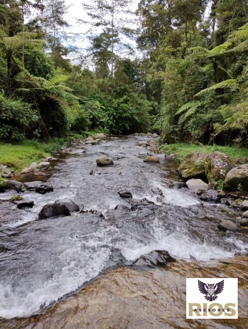 SE VENDE Finca en Alajuela, Sarapiquí.